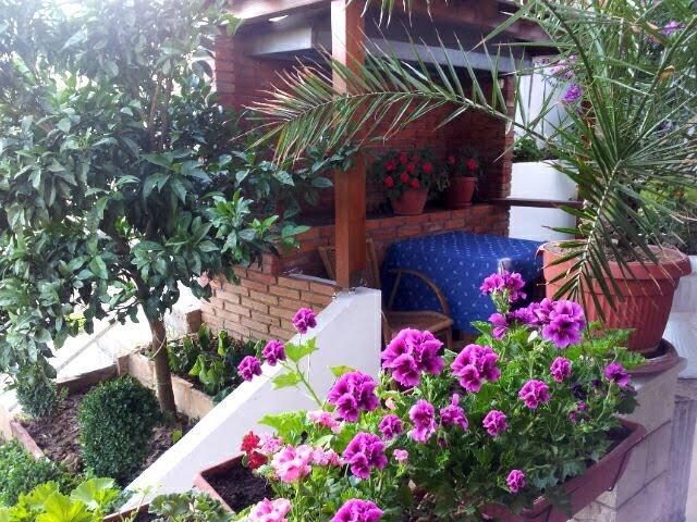 Firenze Apartments อุลซิน ภายนอก รูปภาพ